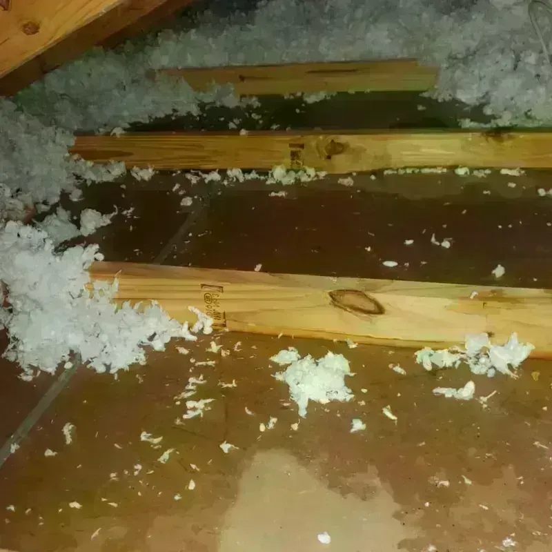 Attic Water Damage in Elwood, NY