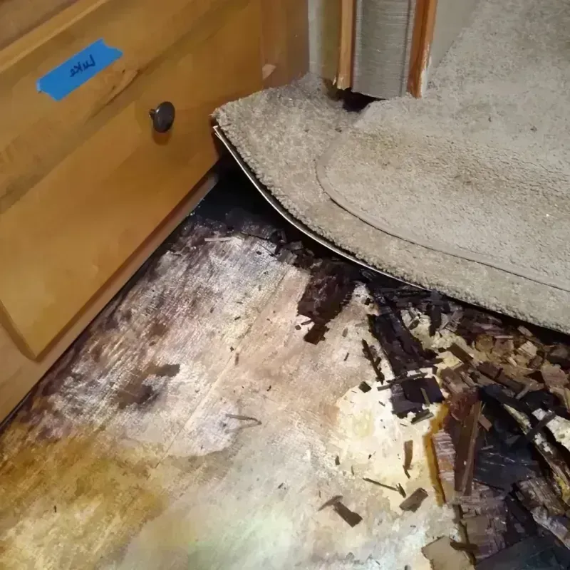 Best Wood Floor Water Damage Service in Elwood, NY